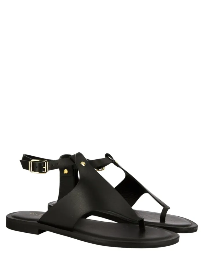 503-VITELLO Negro