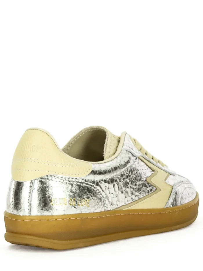 CL293 Silber