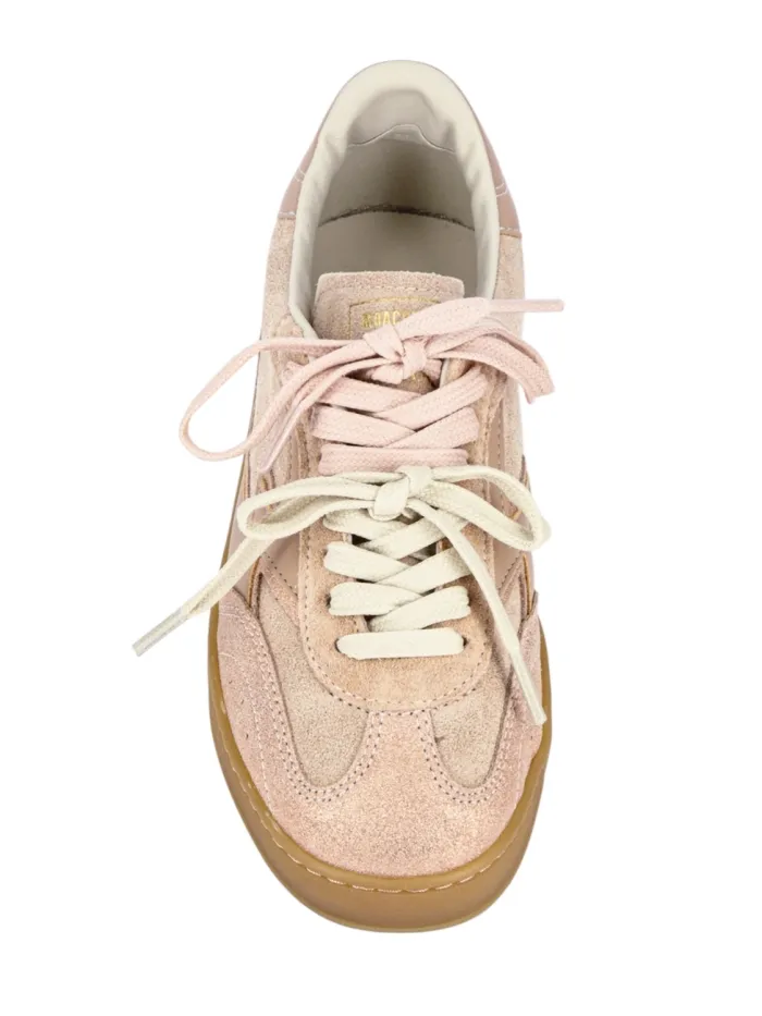CL276 Rose