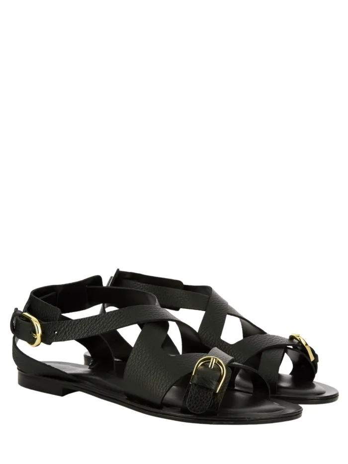 2887 Negro
