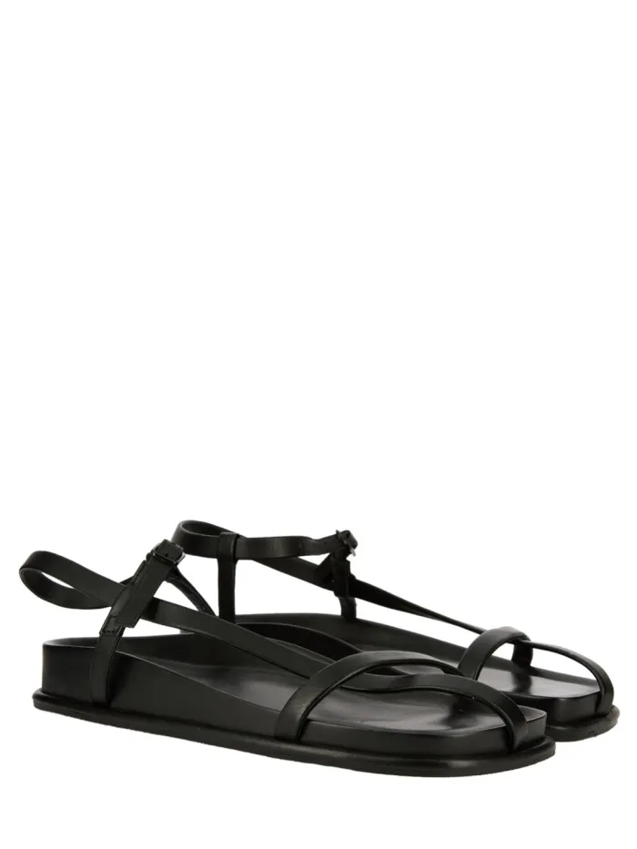 37244 Negro