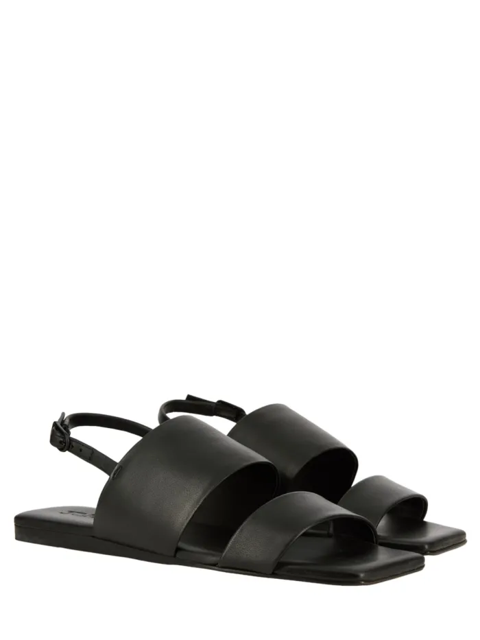 33713 Negro