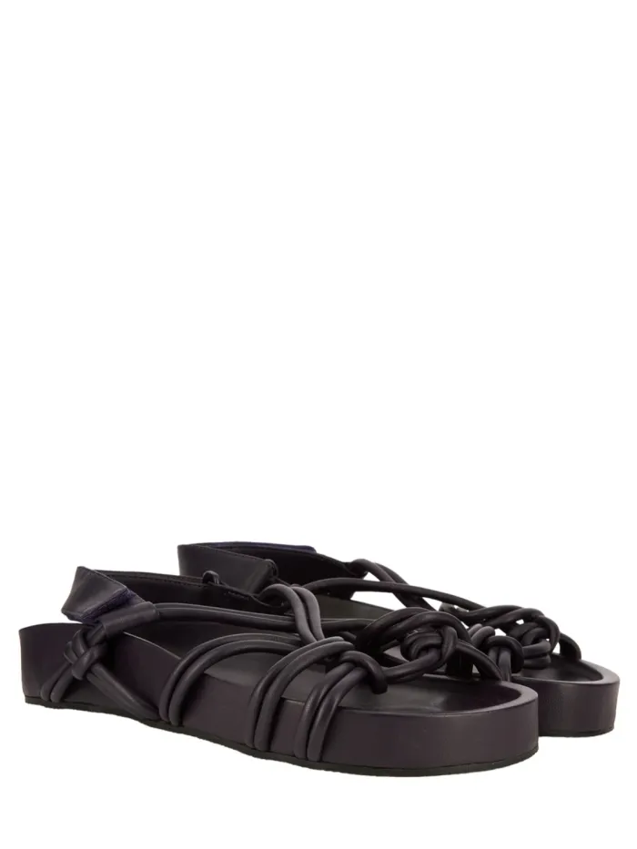 37704 Negro