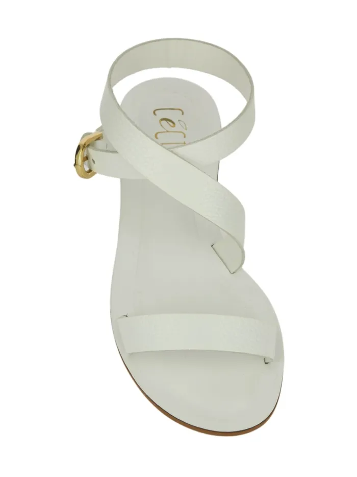 2886 Blanco