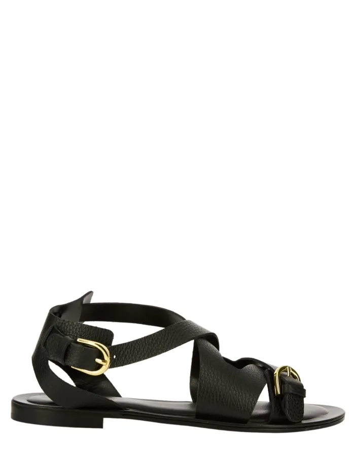 2887 Negro