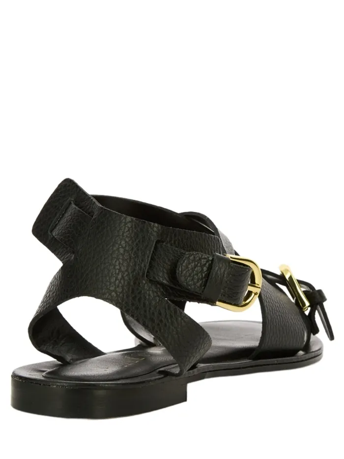 2887 Negro