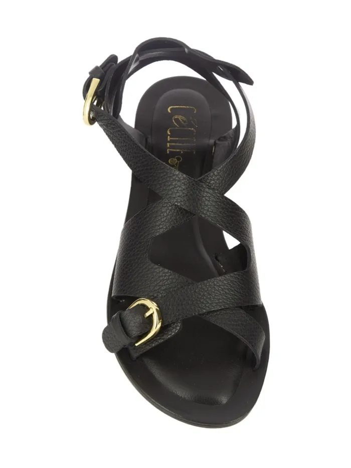 2887 Negro