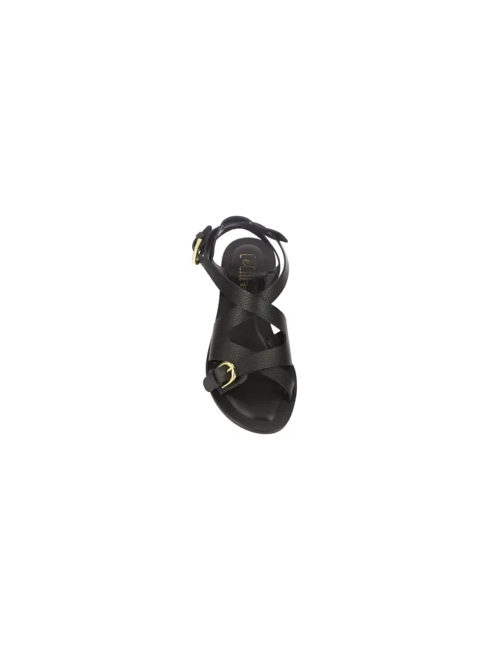 2887 Negro