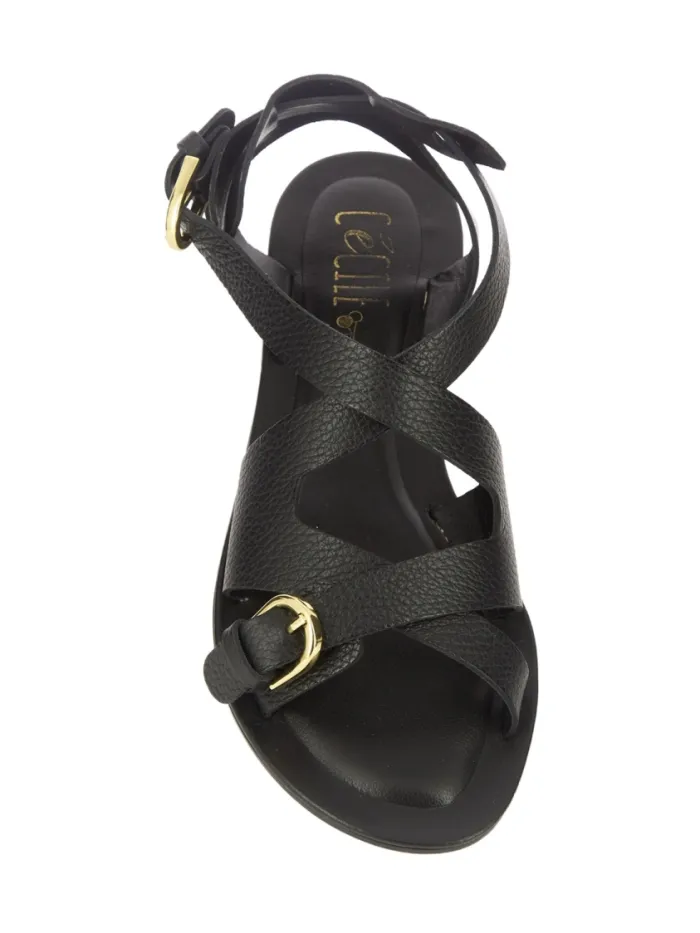 2887 Negro