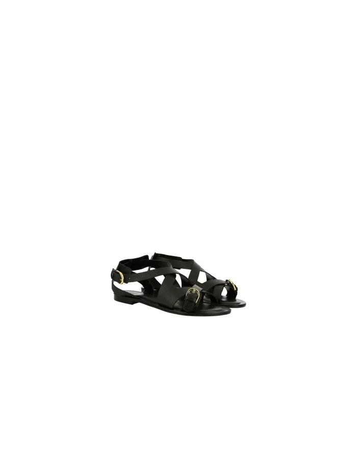 2887 Negro