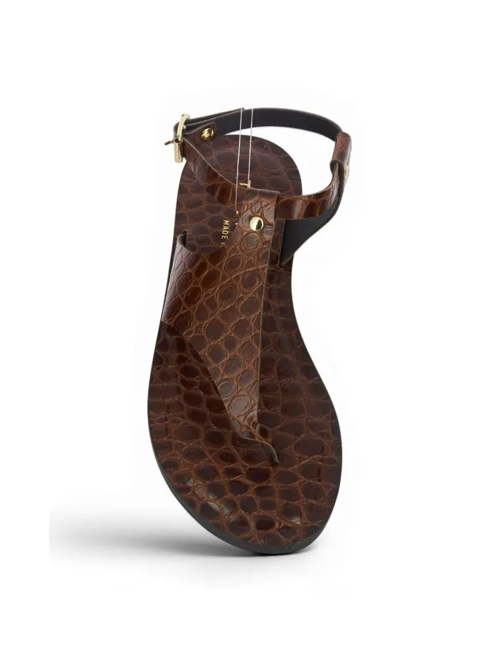 503-COCCO Marron foncé