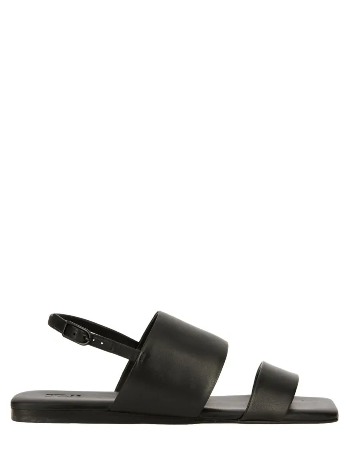 33713 Negro