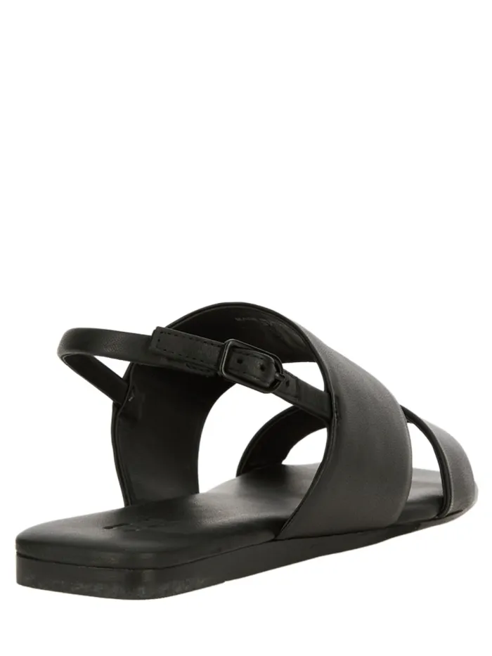 33713 Negro