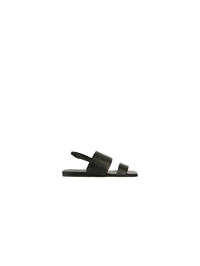 33713 Negro