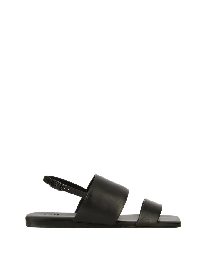 33713 Negro