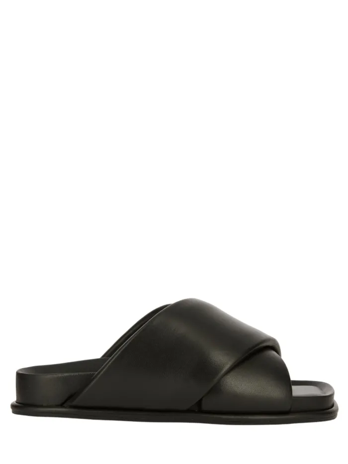 37849 Negro