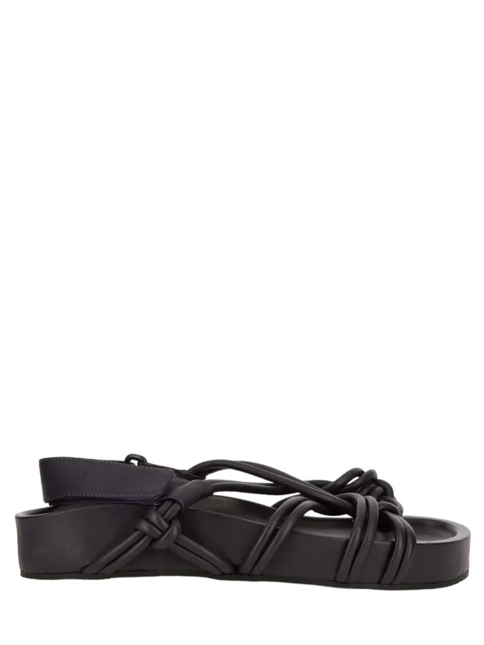37704 Negro