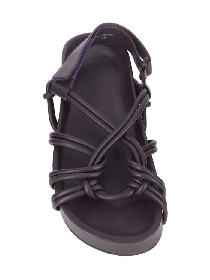 37704 Negro