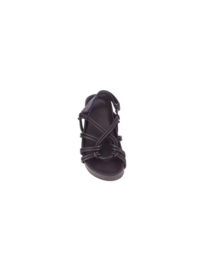 37704 Negro