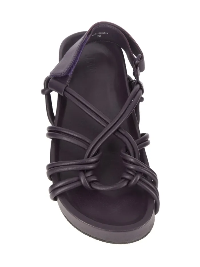 37704 Negro