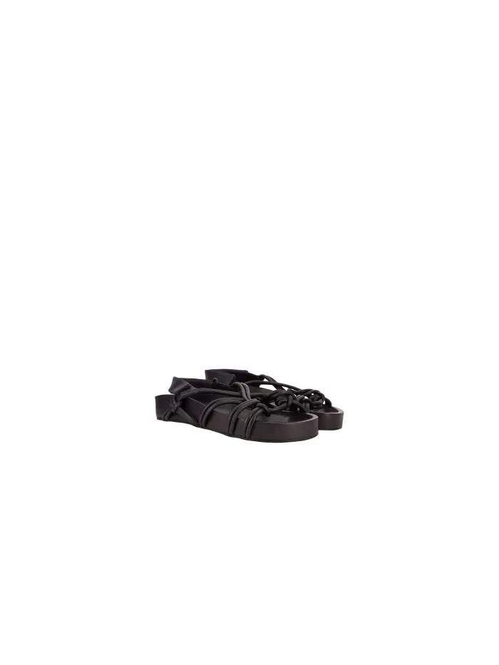 37704 Negro