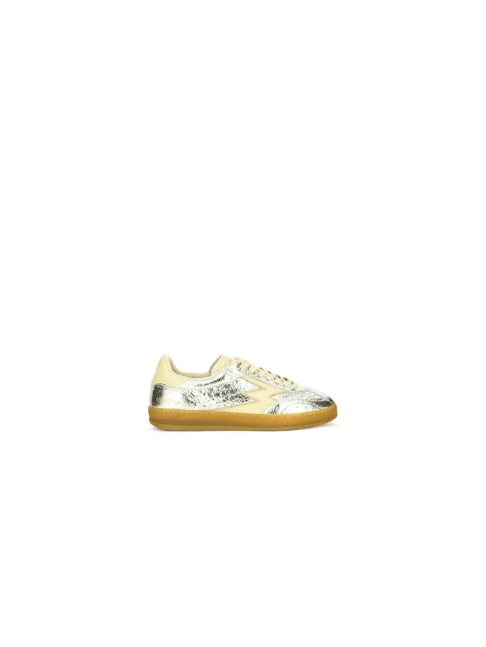 CL293 Silber