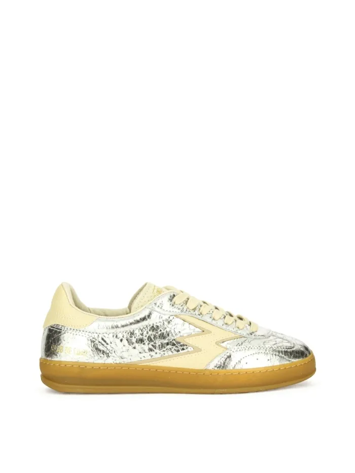 CL293 Silber