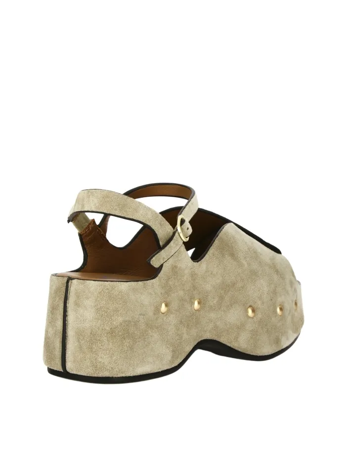 CAROLA B12 Tortora