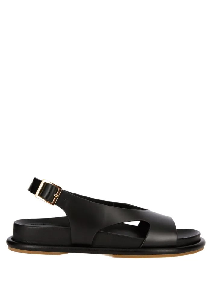 311302 CALISTA Negro