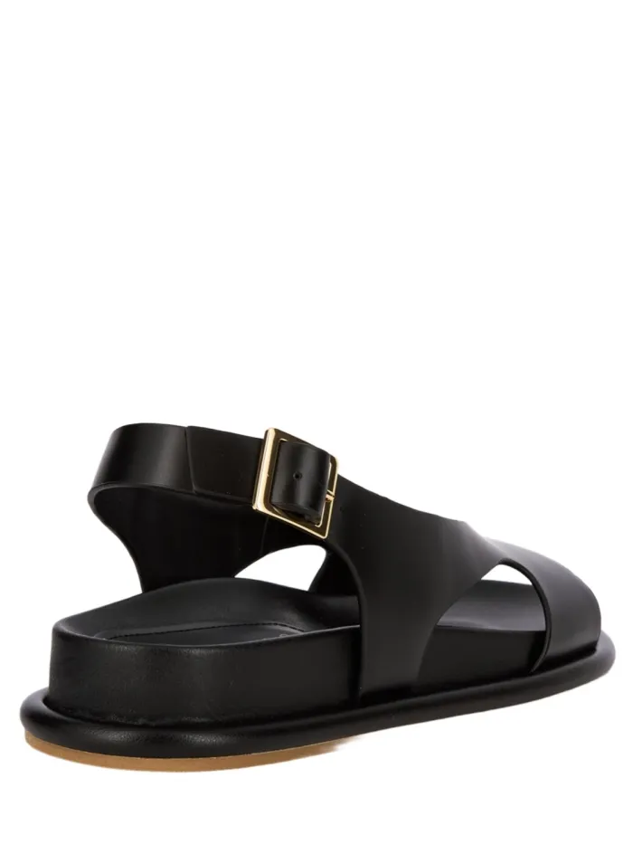 311302 CALISTA Negro