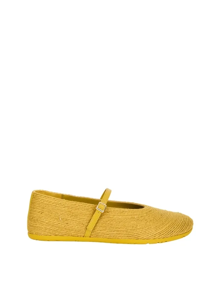 311404 CYNTHIA OCHRE
