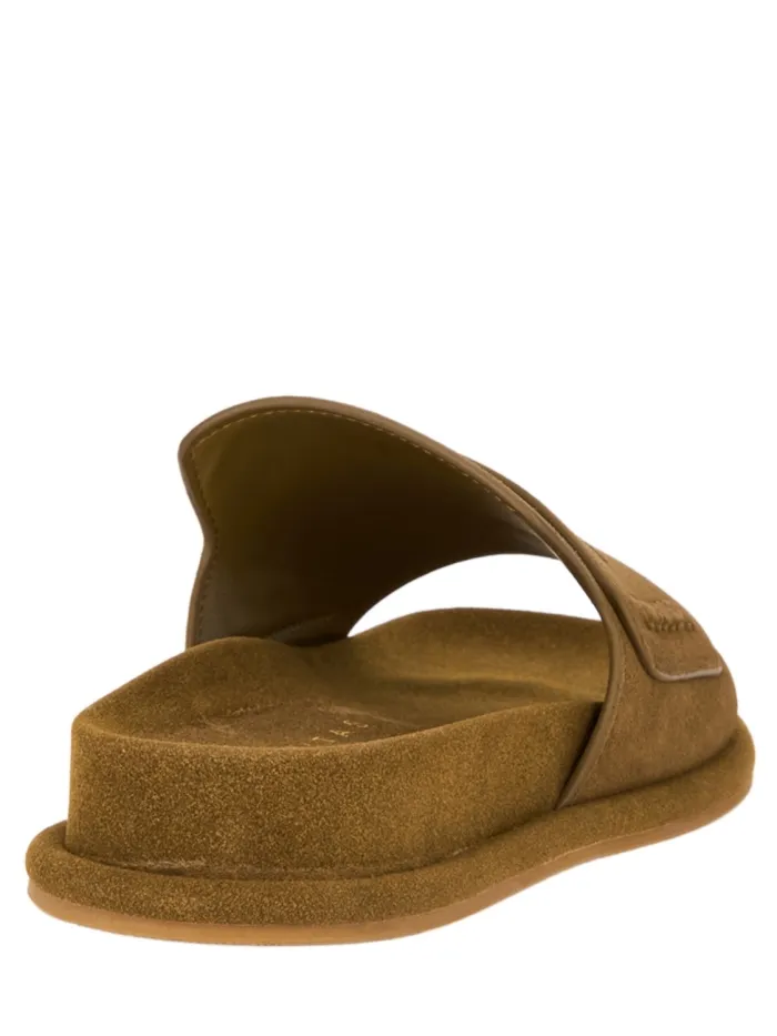 311301 Marrone