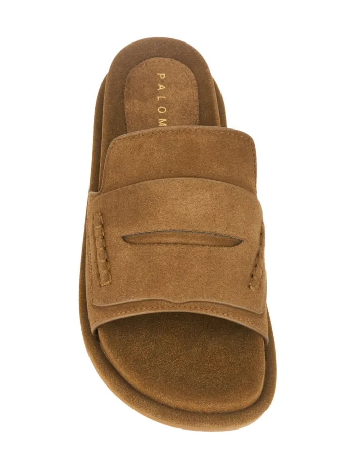 311301 Marrone