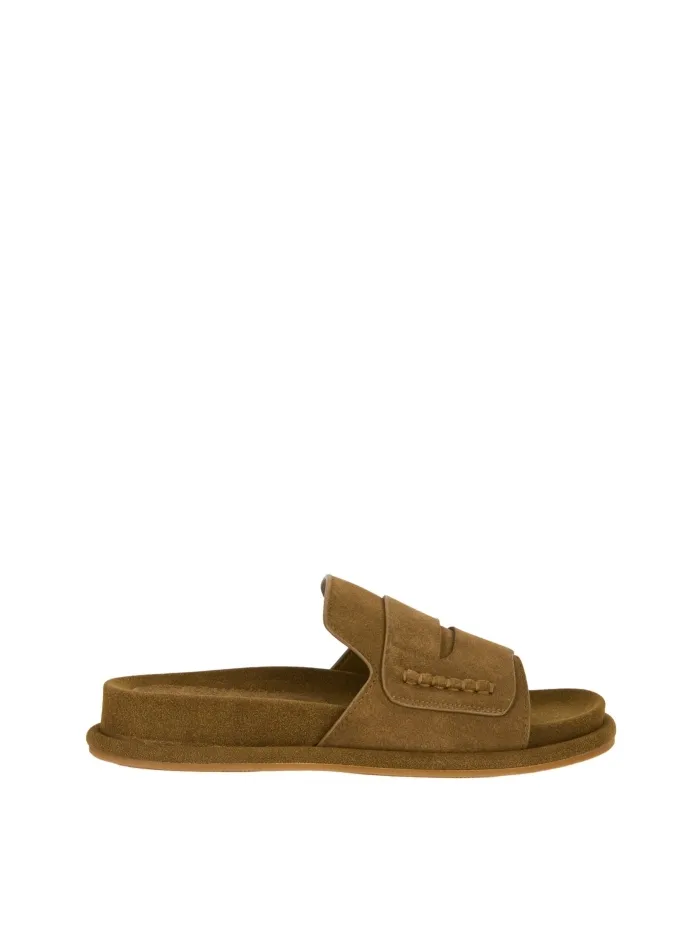 311301 Marrone
