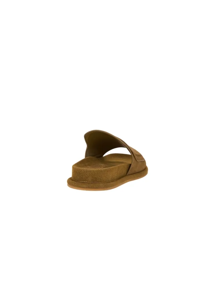 311301 Marrone