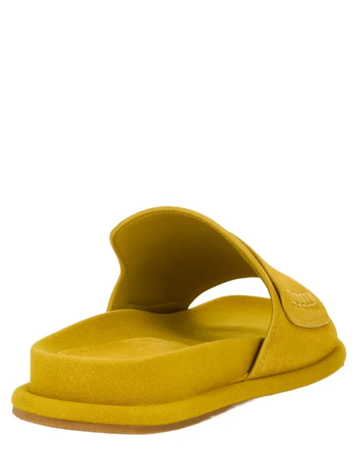 311301 OCHRE