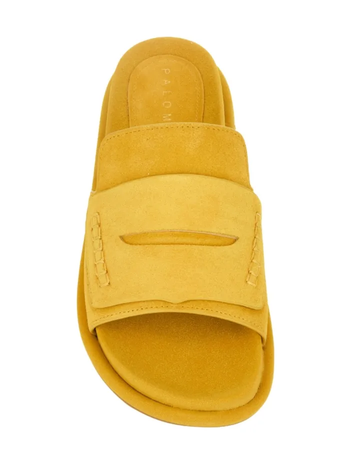 311301 OCHRE