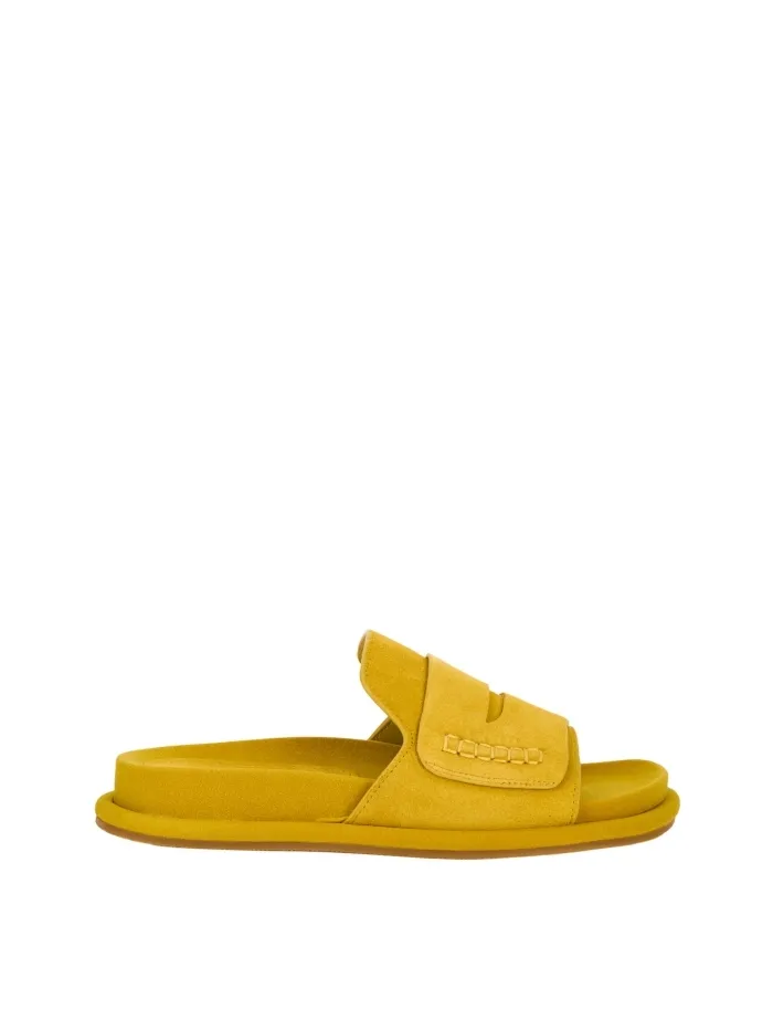 311301 OCHRE