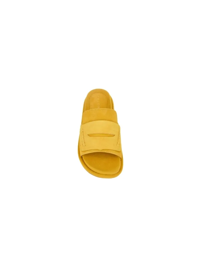 311301 OCHRE