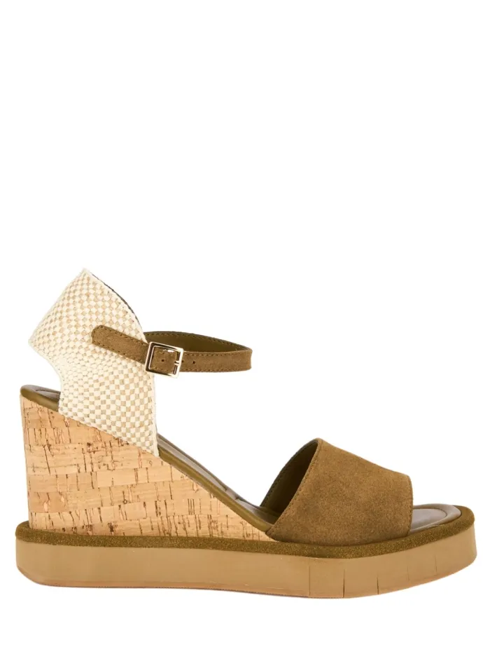 311602 Marrone
