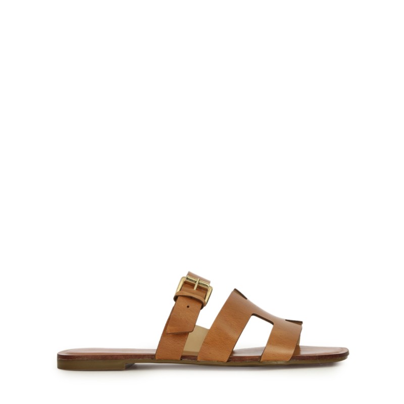 2236-B-MU  COCONUT Cartechini Collection